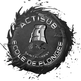 Actisub